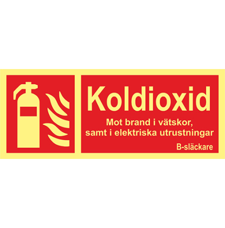 Tillggsskylt Koldioxid 250100 mm frgefterlysande